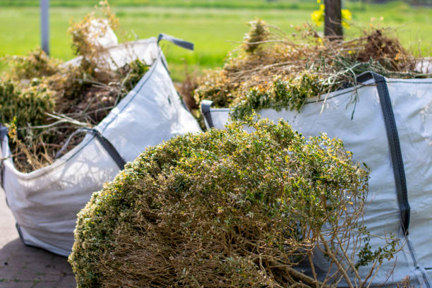 Best Office Junk Removal  in Northfield, KY